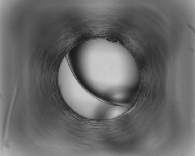 X0000097670033200802291511