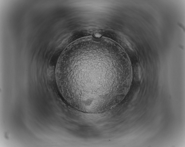 X0000097670034200802291511