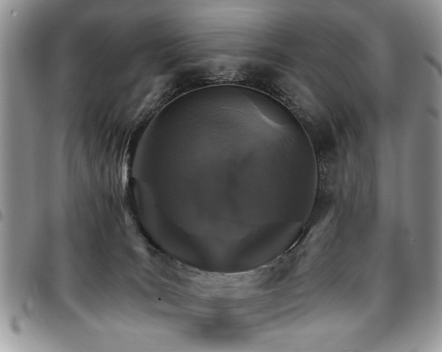 X0000097670035200802291511