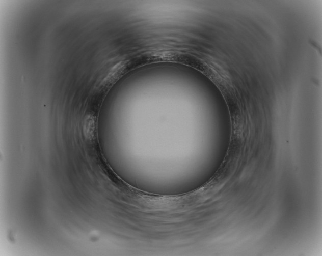 X0000097670036200802291511