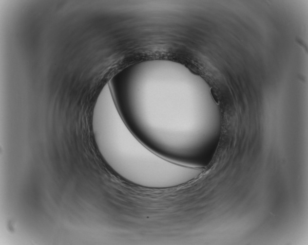X0000097670037200802291511
