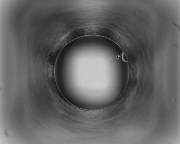 X0000097670038200802291511