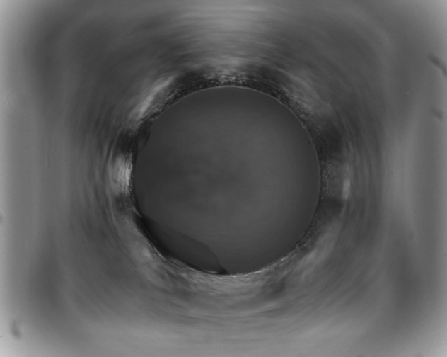 X0000097670039200802291511