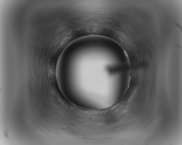 X0000097670040200802291511