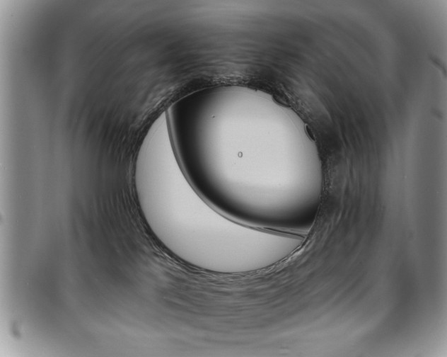 X0000097670041200802291511