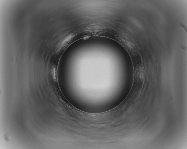 X0000097670042200802291511