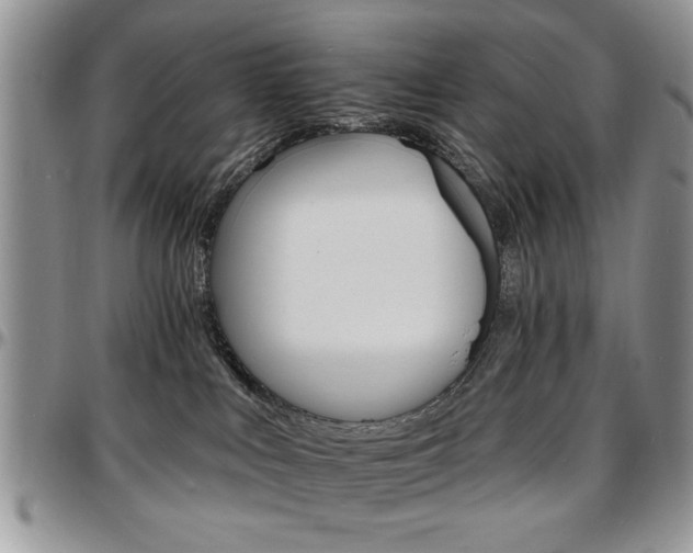 X0000097670043200802291511