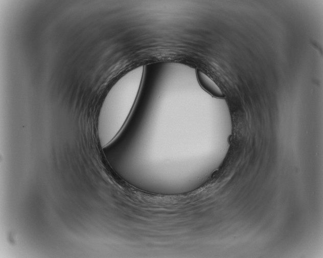 X0000097670044200802291511