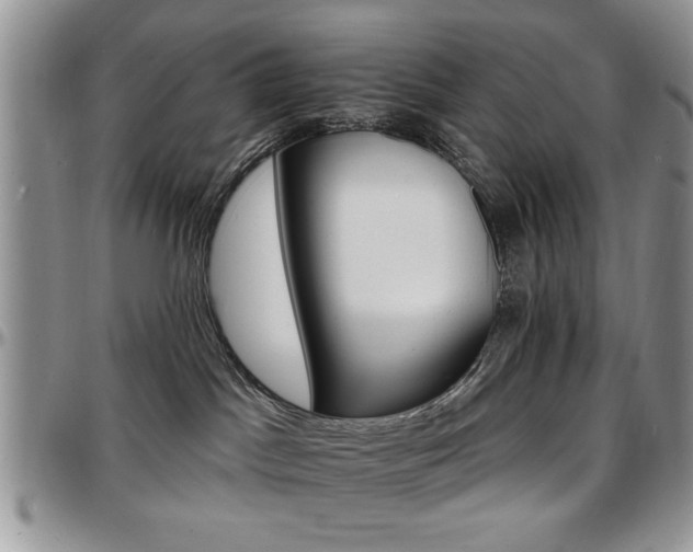 X0000097670045200802291511
