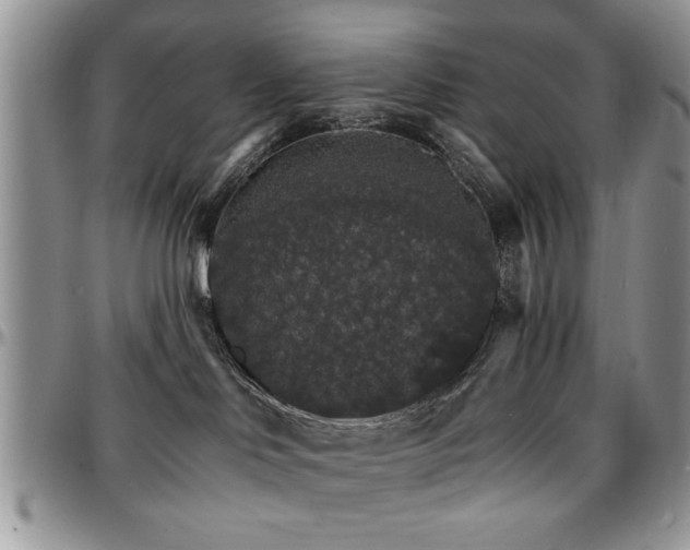X0000097670046200802291510