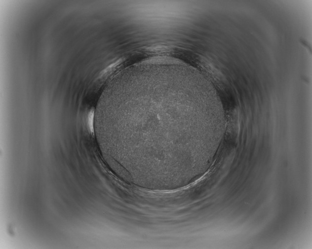 X0000097670047200802291510