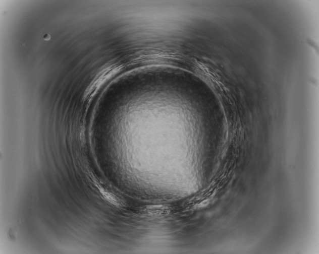 X0000097670050200802291510