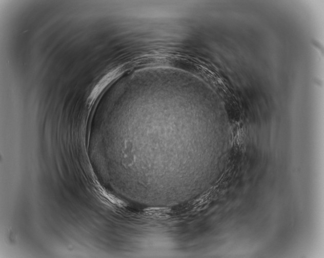 X0000097670051200802291510
