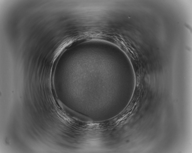 X0000097670052200802291510