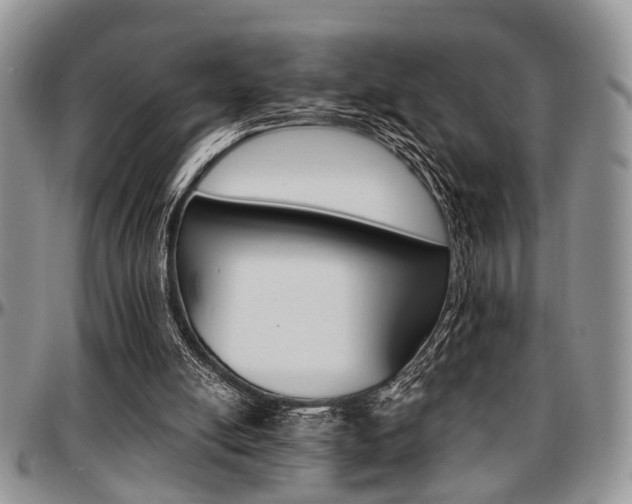 X0000097670054200802291510