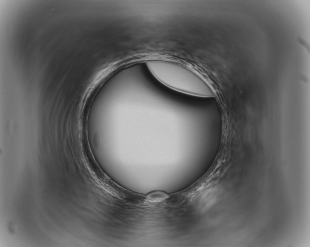 X0000097670055200802291510