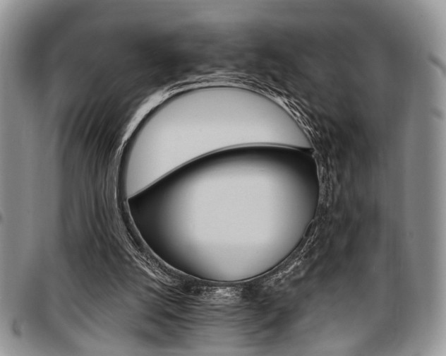 X0000097670056200802291510