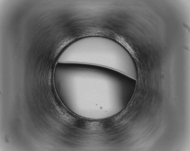 X0000097670058200802291510
