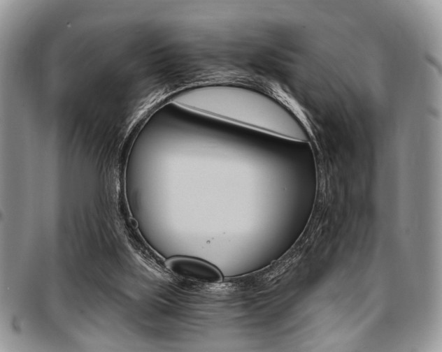 X0000097670059200802291510