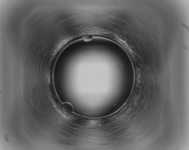 X0000097670060200802291510