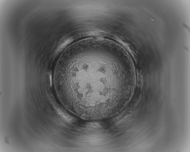 X0000097670061200802291510