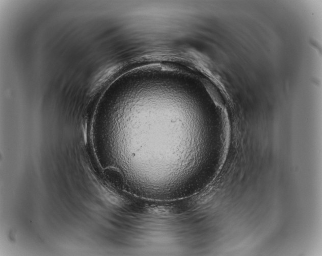 X0000097670062200802291510