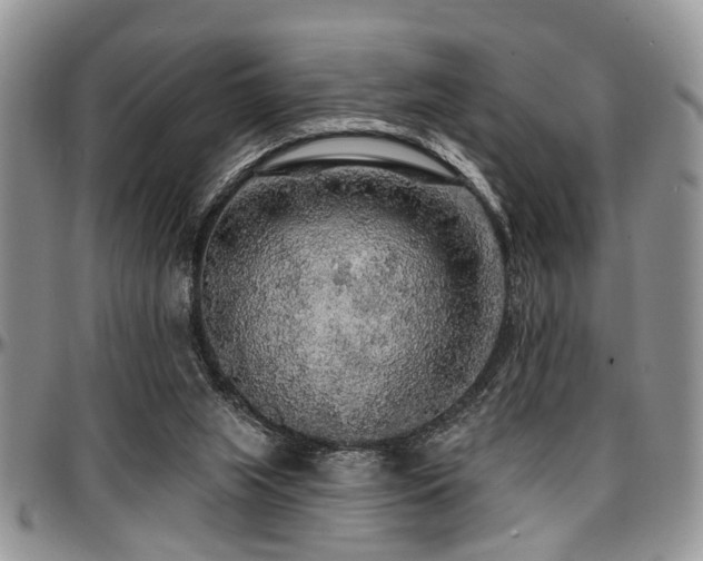 X0000097670063200802291510