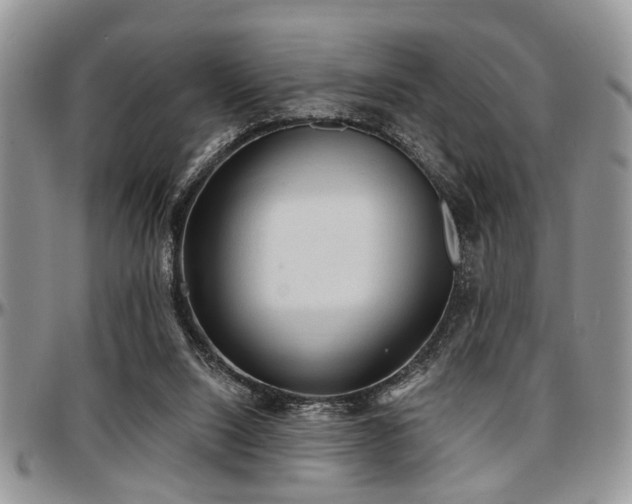 X0000097670064200802291510