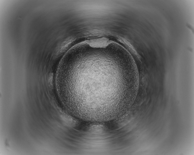 X0000097670066200802291510
