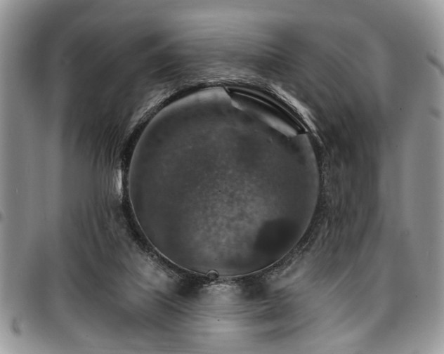 X0000097670067200802291510