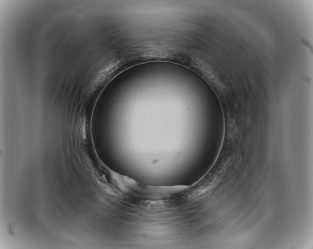 X0000097670068200802291510