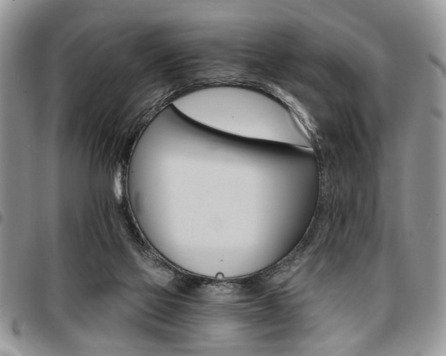 X0000097670069200802291510