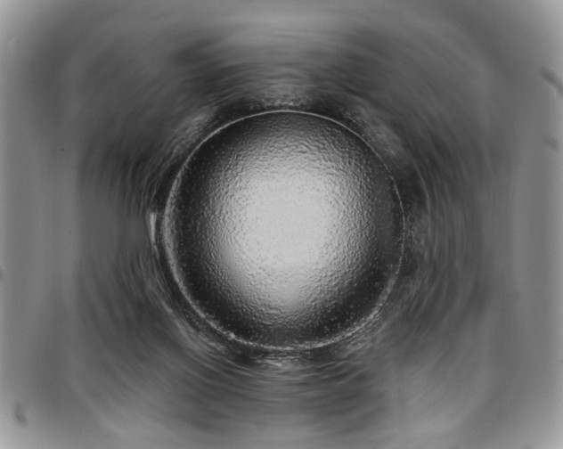 X0000097670070200802291510