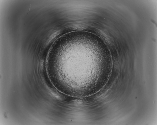 X0000097670071200802291510