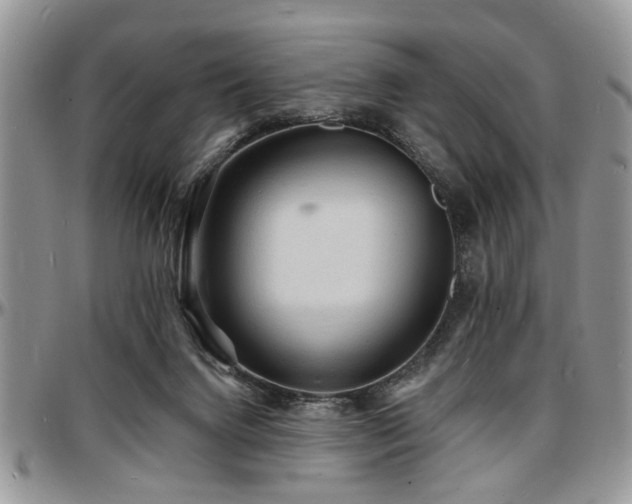 X0000097670072200802291510