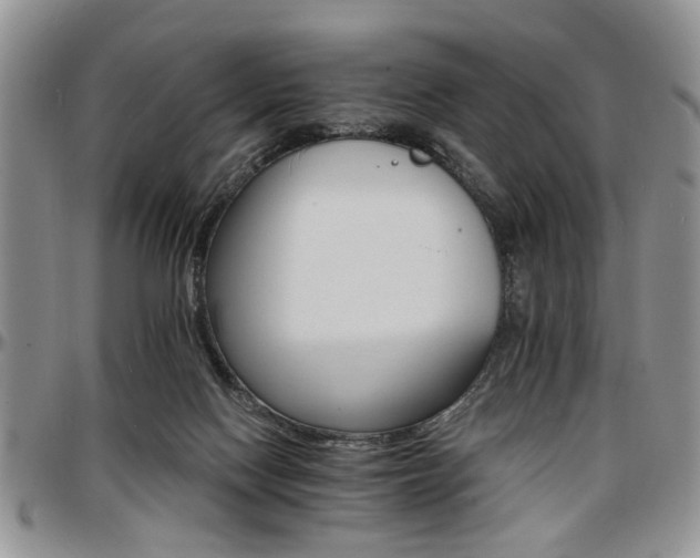 X0000097670074200802291510