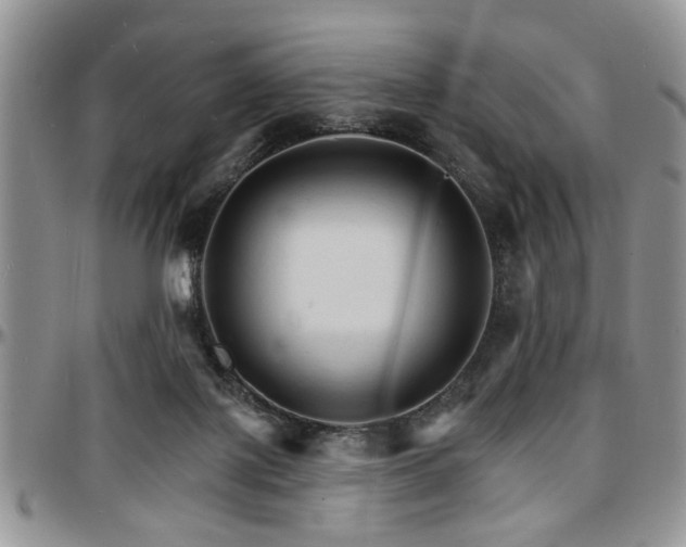 X0000097670075200802291510