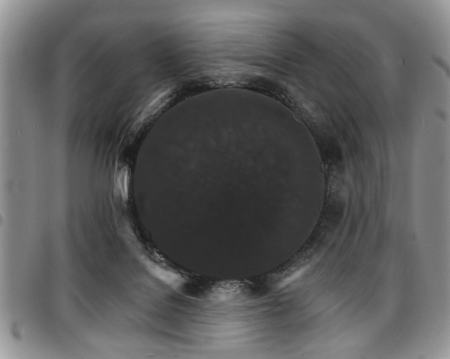 X0000097670076200802291510