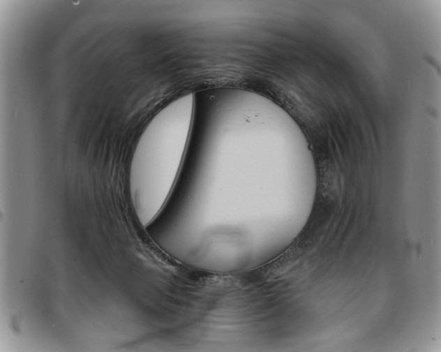 X0000097670077200802291510