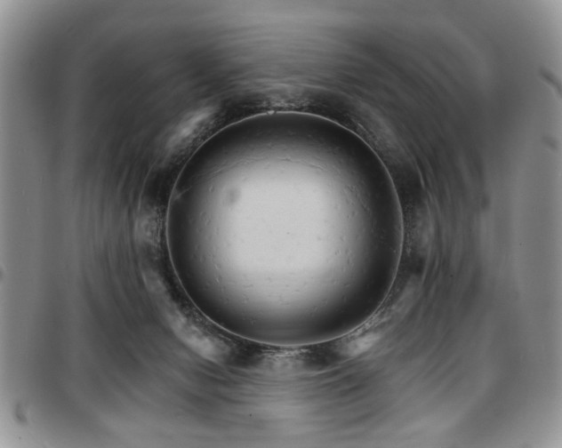 X0000097670078200802291510
