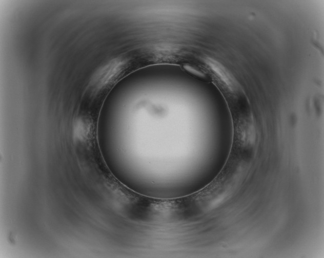 X0000097670079200802291510