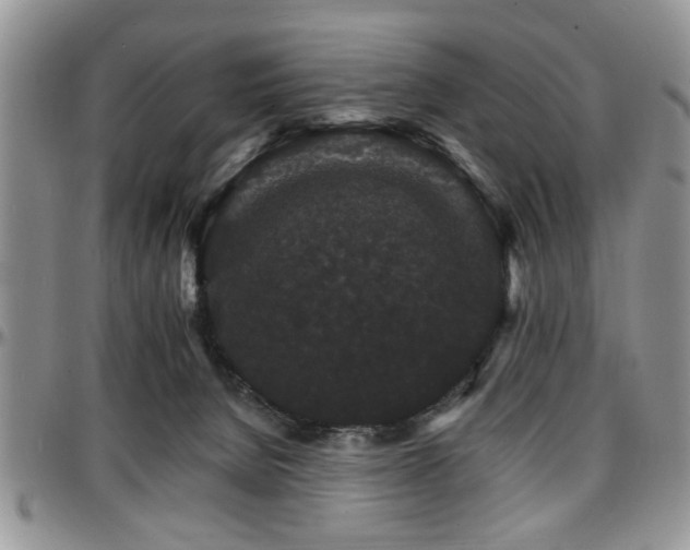 X0000097670080200802291510