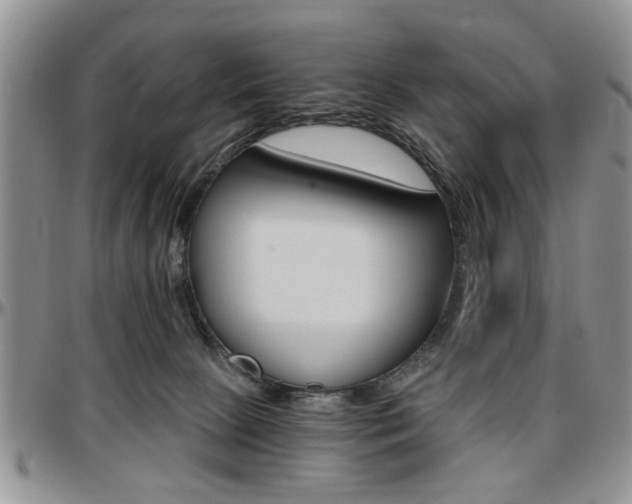 X0000097670081200802291510