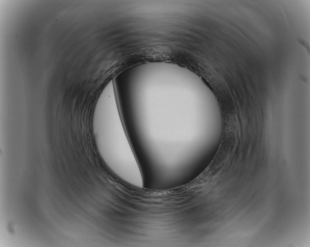 X0000097670084200802291510