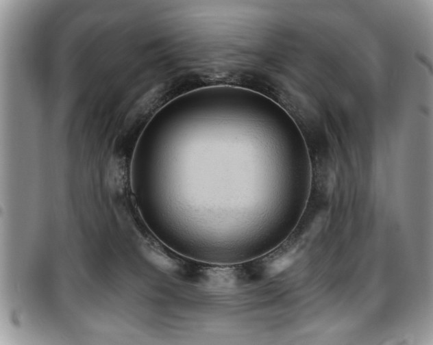 X0000097670085200802291510