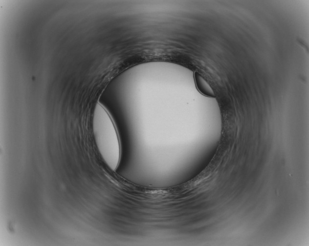 X0000097670087200802291510