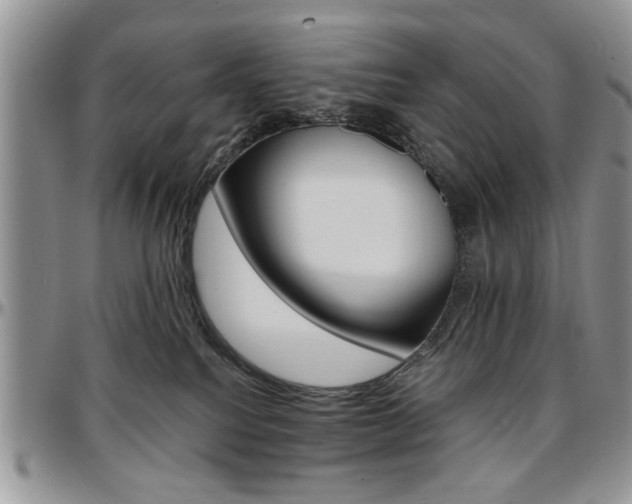 X0000097670088200802291510