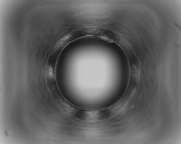 X0000097670089200802291510