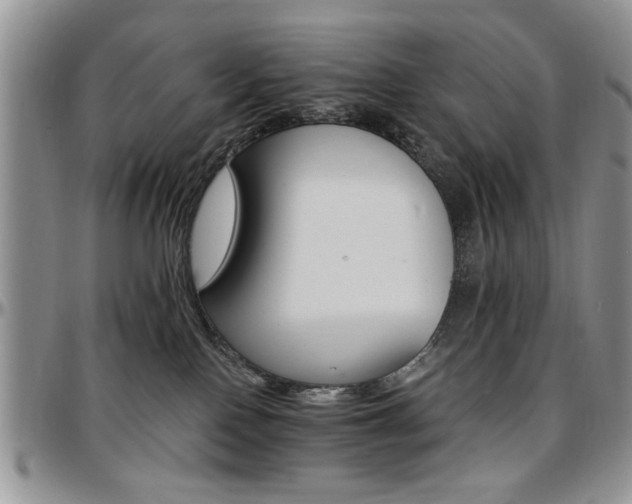 X0000097670090200802291510
