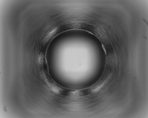 X0000097670092200802291510
